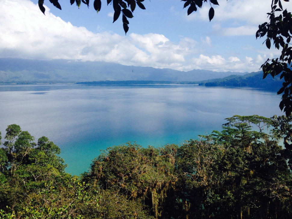 Laguna Miramar je obklopena džunglí